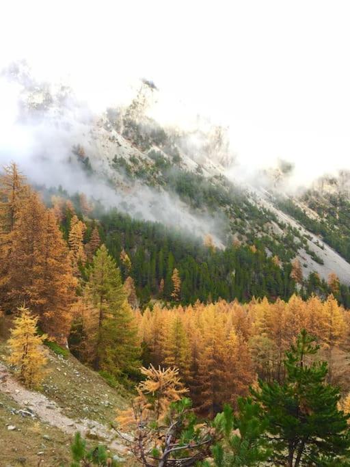 Relax In Montagna Apartment Bardonecchia Ngoại thất bức ảnh