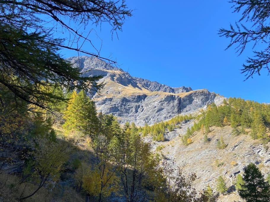 Relax In Montagna Apartment Bardonecchia Ngoại thất bức ảnh